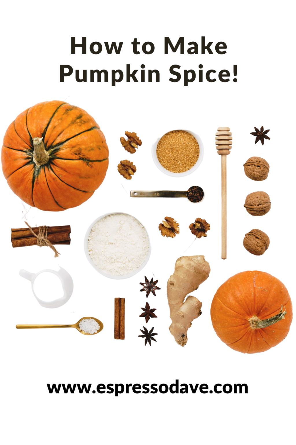 How to Make Pumpkin Spice | Espresso Dave